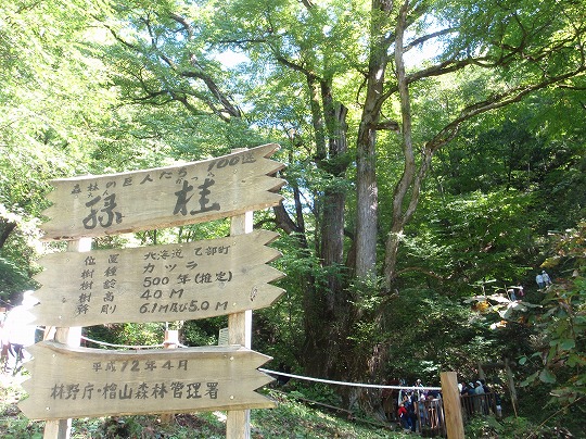 c0204924_13203298.jpg