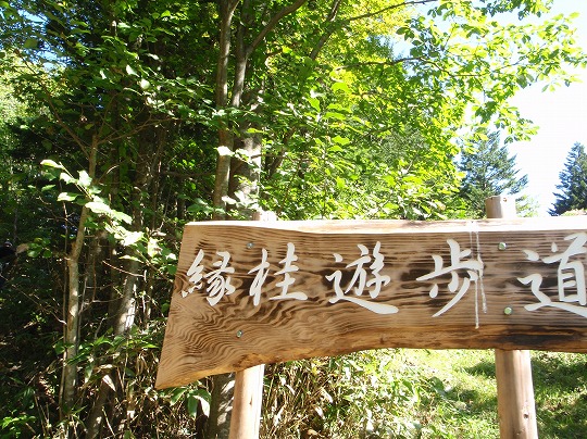 c0204924_1362879.jpg