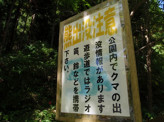 c0204924_1365377.jpg