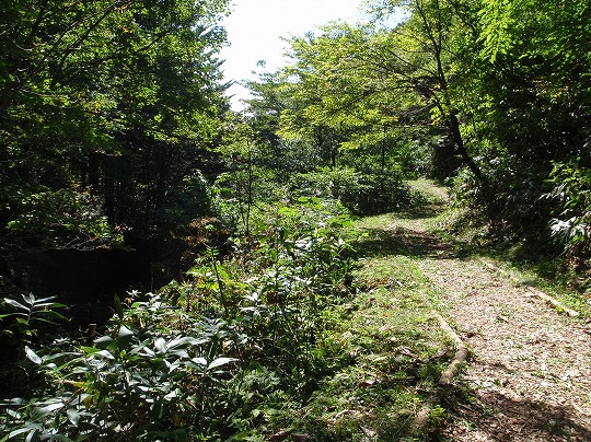 c0204924_1392716.jpg
