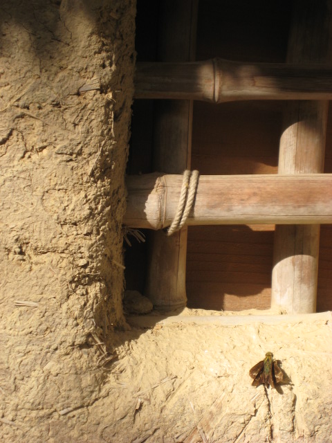 d0147727_19112286.jpg