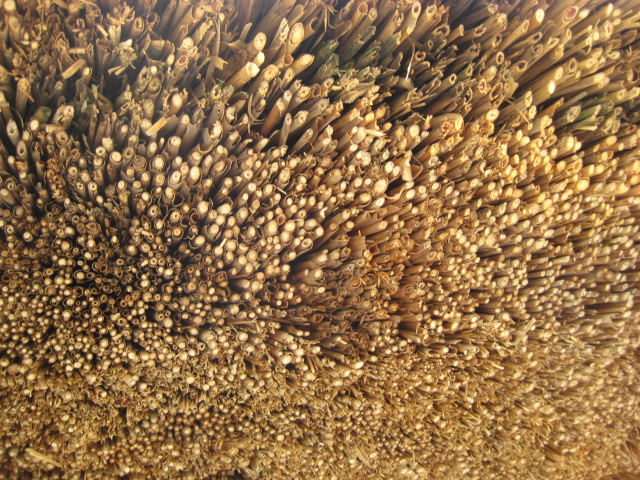 d0147727_1921083.jpg