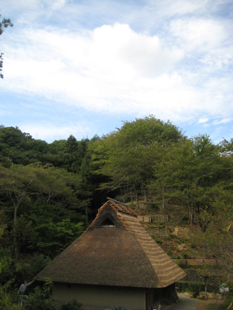 d0147727_19393195.jpg