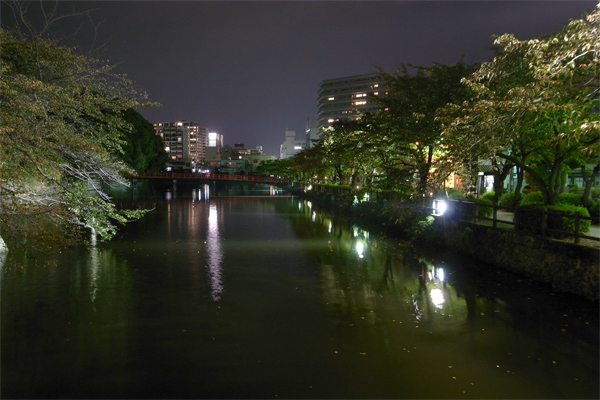c0070528_21432767.jpg