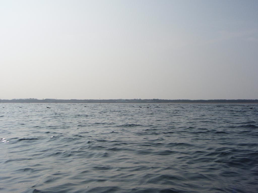 b0173629_17124441.jpg