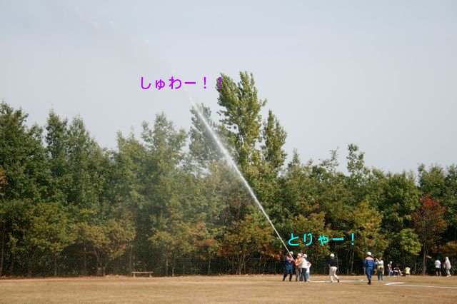 f0039538_22341953.jpg