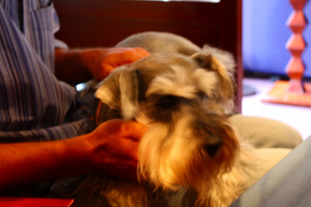c0153740_2022785.jpg