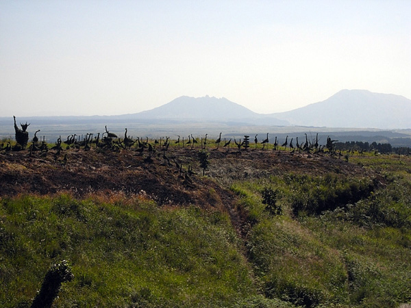 b0049152_1835894.jpg