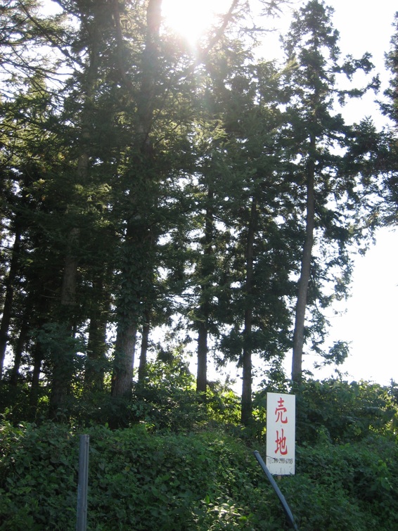 c0138553_16101998.jpg