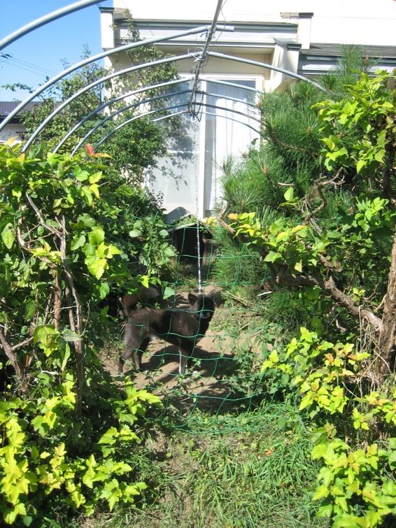 c0138553_16111829.jpg