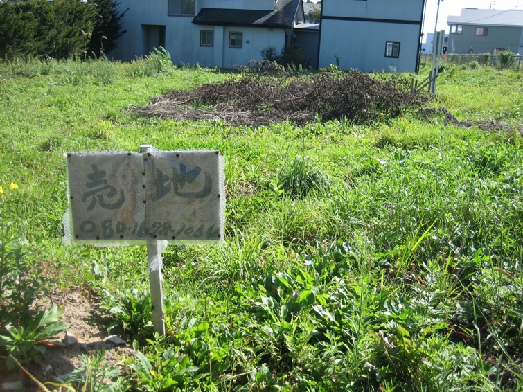 c0138553_1682437.jpg