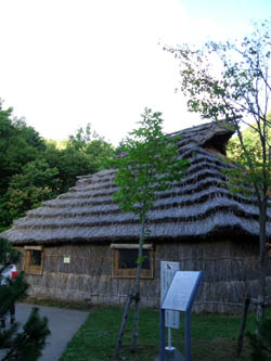 c0097856_0255835.jpg
