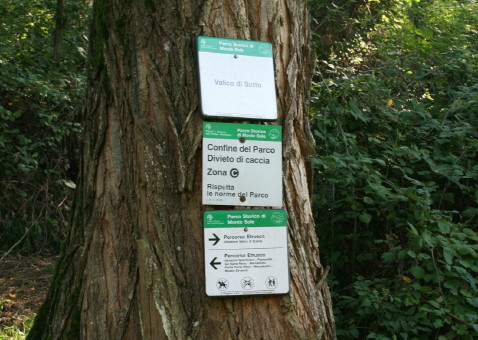 f0077159_2038190.jpg