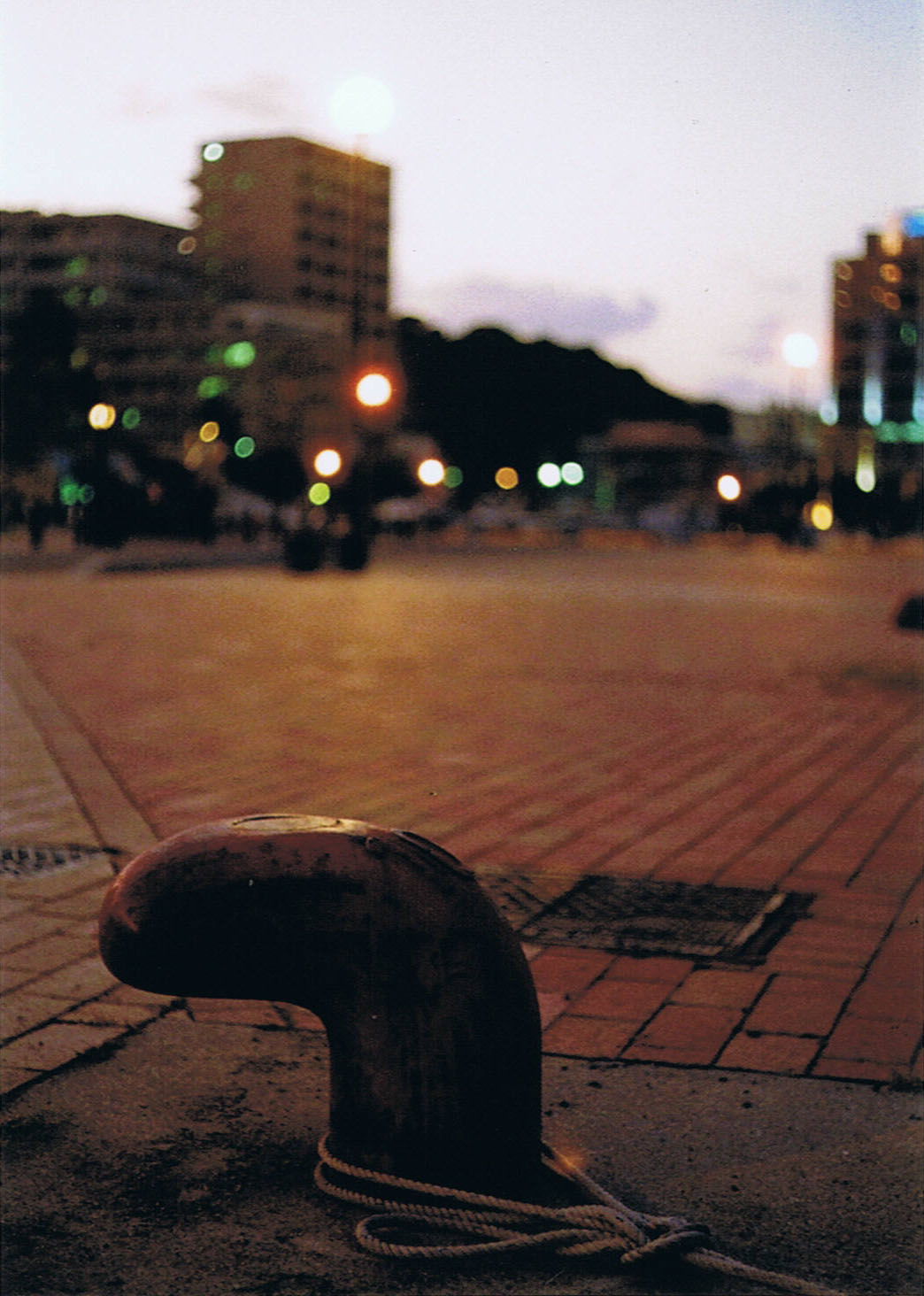 e0195460_03489.jpg