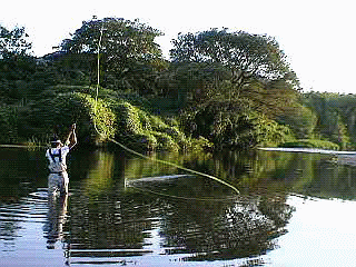 f0084561_10385215.gif