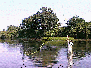 f0084561_1039916.gif