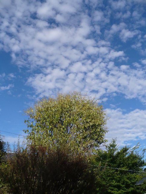 a0063364_0112651.jpg