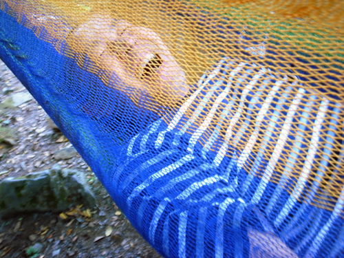 c0048265_17164037.jpg