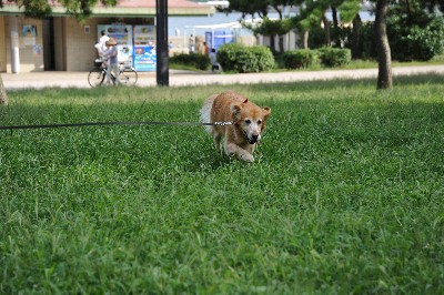 e0020166_16142089.jpg