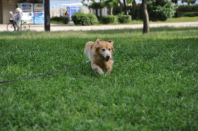 e0020166_16145953.jpg
