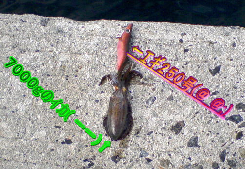 c0169168_833948.jpg