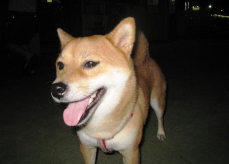 c0171368_026491.jpg