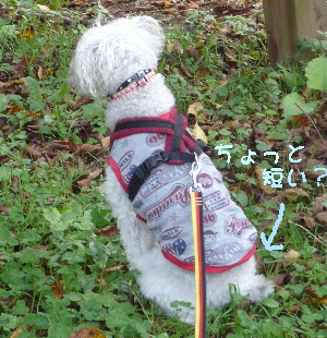 f0203369_2150345.jpg