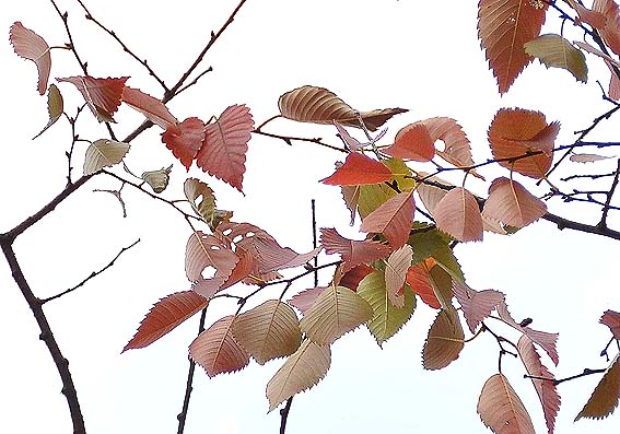 f0198771_0523027.jpg