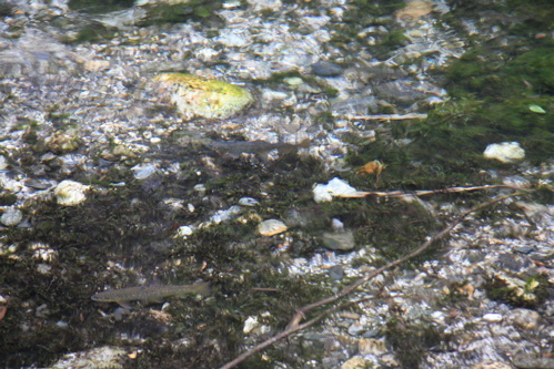 c0151875_2122743.jpg