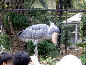 e0041979_22391568.jpg