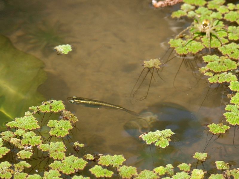 b0108186_161347100.jpg