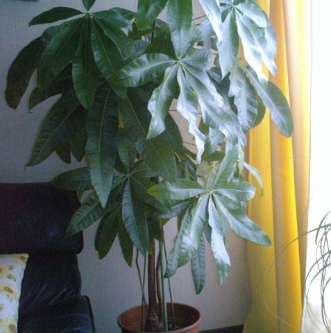 c0204188_12391371.jpg