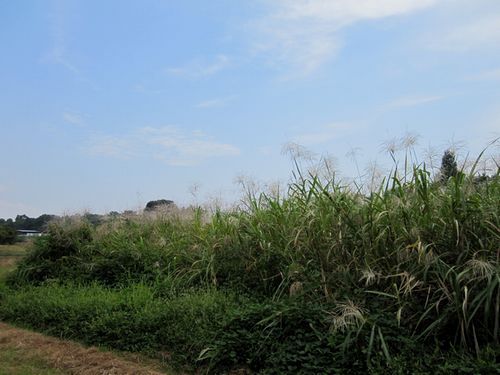 e0143690_9455180.jpg