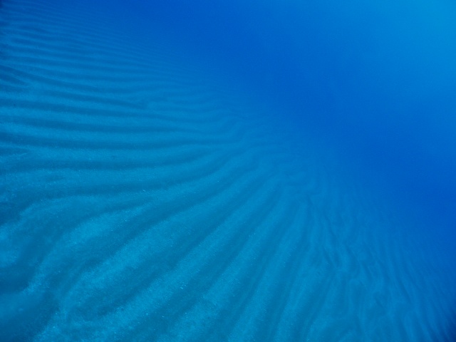 f0180993_222157.jpg