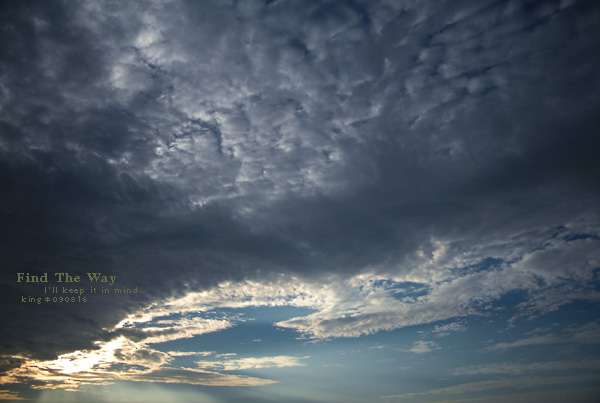 f0054594_244697.jpg