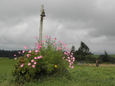 c0086895_21303978.jpg