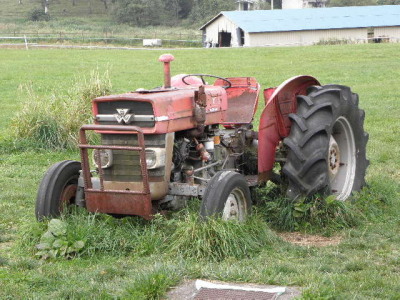 c0086895_21392519.jpg