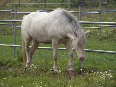 c0086895_21575573.jpg