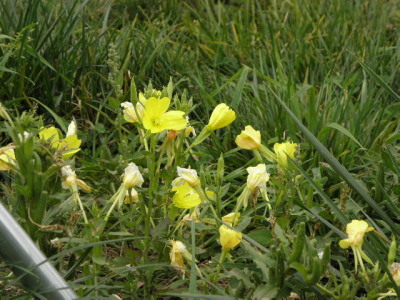 c0086895_2252642.jpg