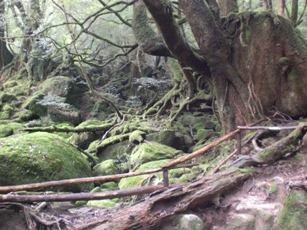 b0146196_2156788.jpg