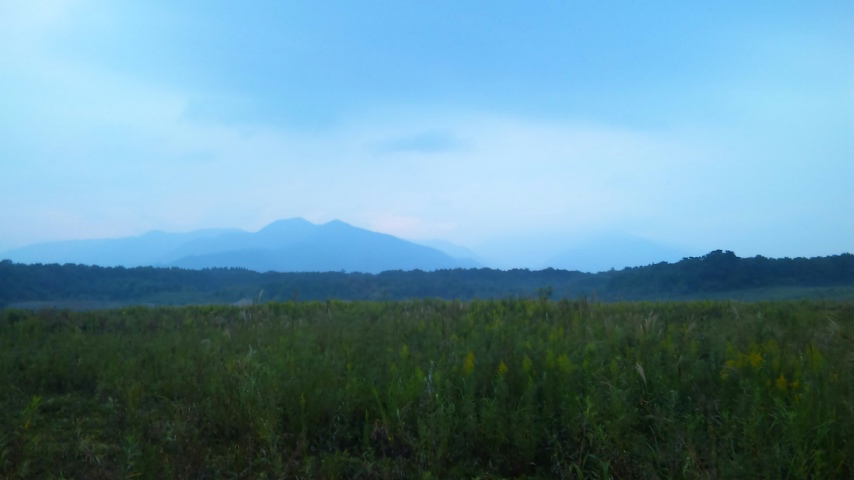e0083097_20591525.jpg