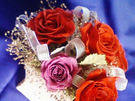 b0189100_14112885.jpg