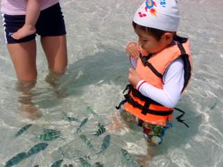 c0053700_1551327.jpg