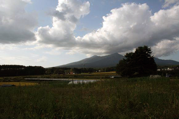 d0070702_018054.jpg