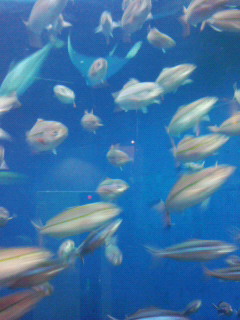 e0041902_2236776.jpg