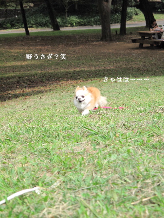 a0079803_2364918.jpg
