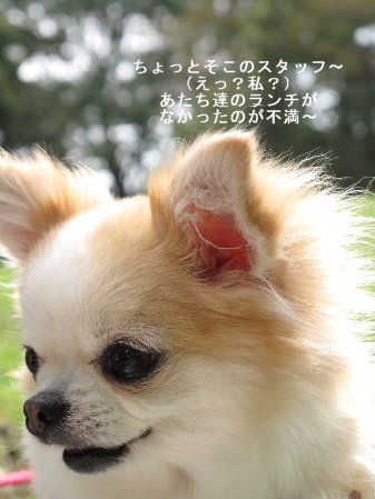 a0079803_2392859.jpg