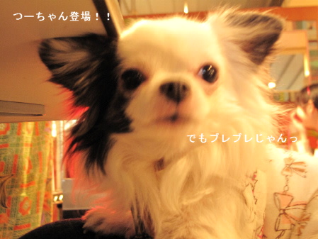 a0079803_242391.jpg