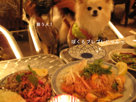 a0079803_2431659.jpg
