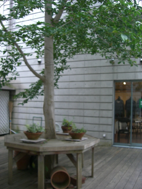 a0134004_12362789.jpg